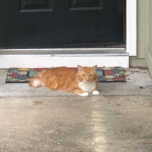 Meet your Posher, Lori - Picture 5 of 8